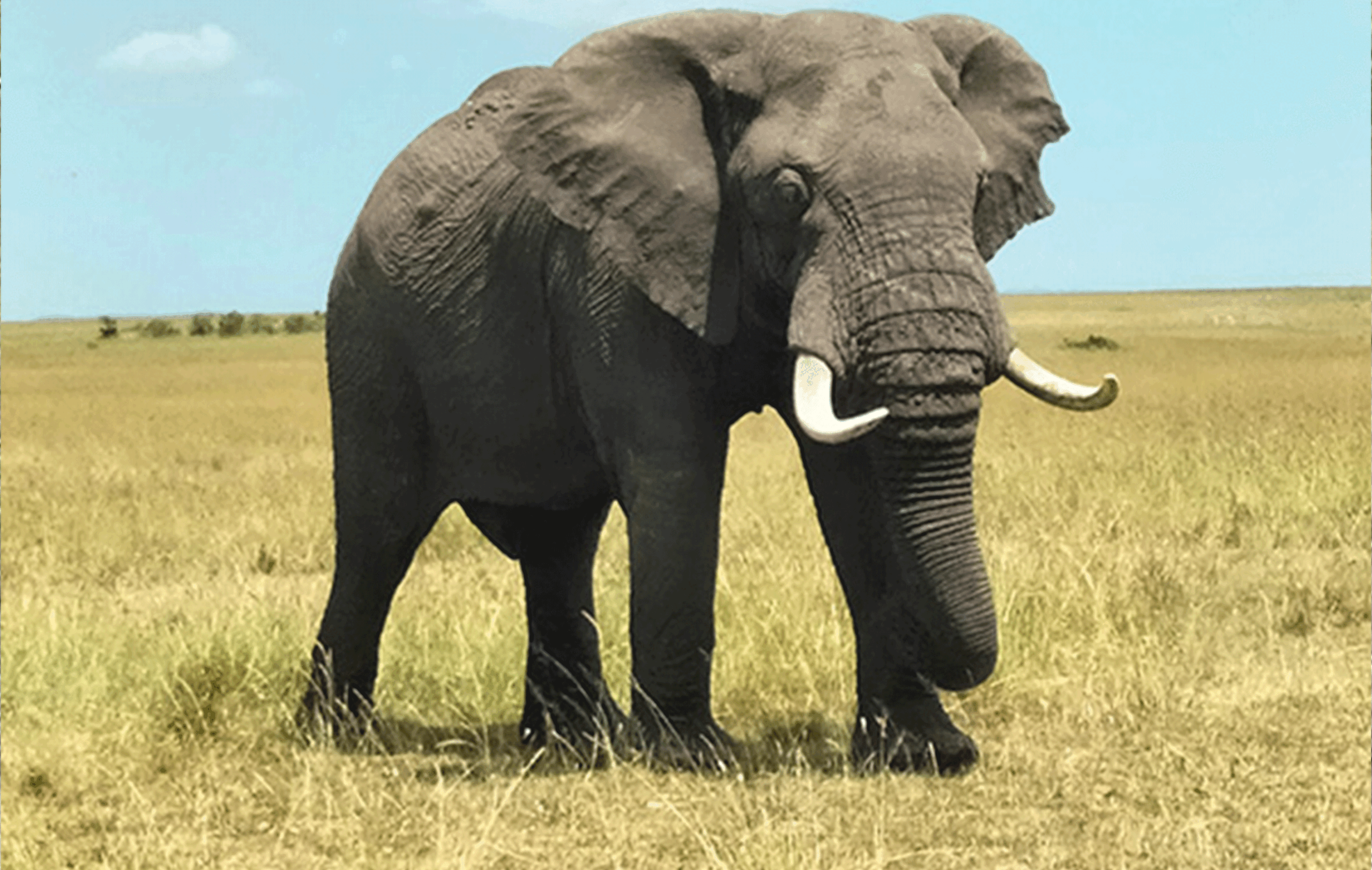 10 Days Best of Kenya Safari