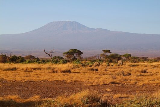 7 days—Kenya Great Savanna Game Safari