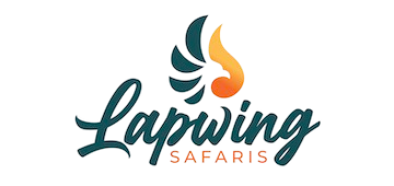 logo-image